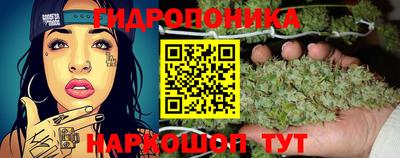 мдпв Апшеронск