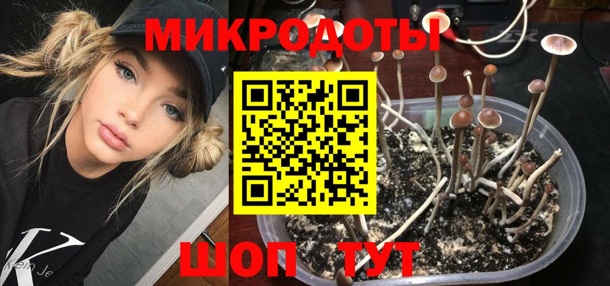 Псилоцибиновые грибы мицелий Вольск